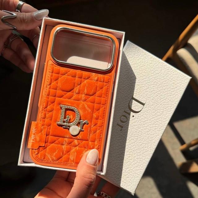 Diore puffer case c4426